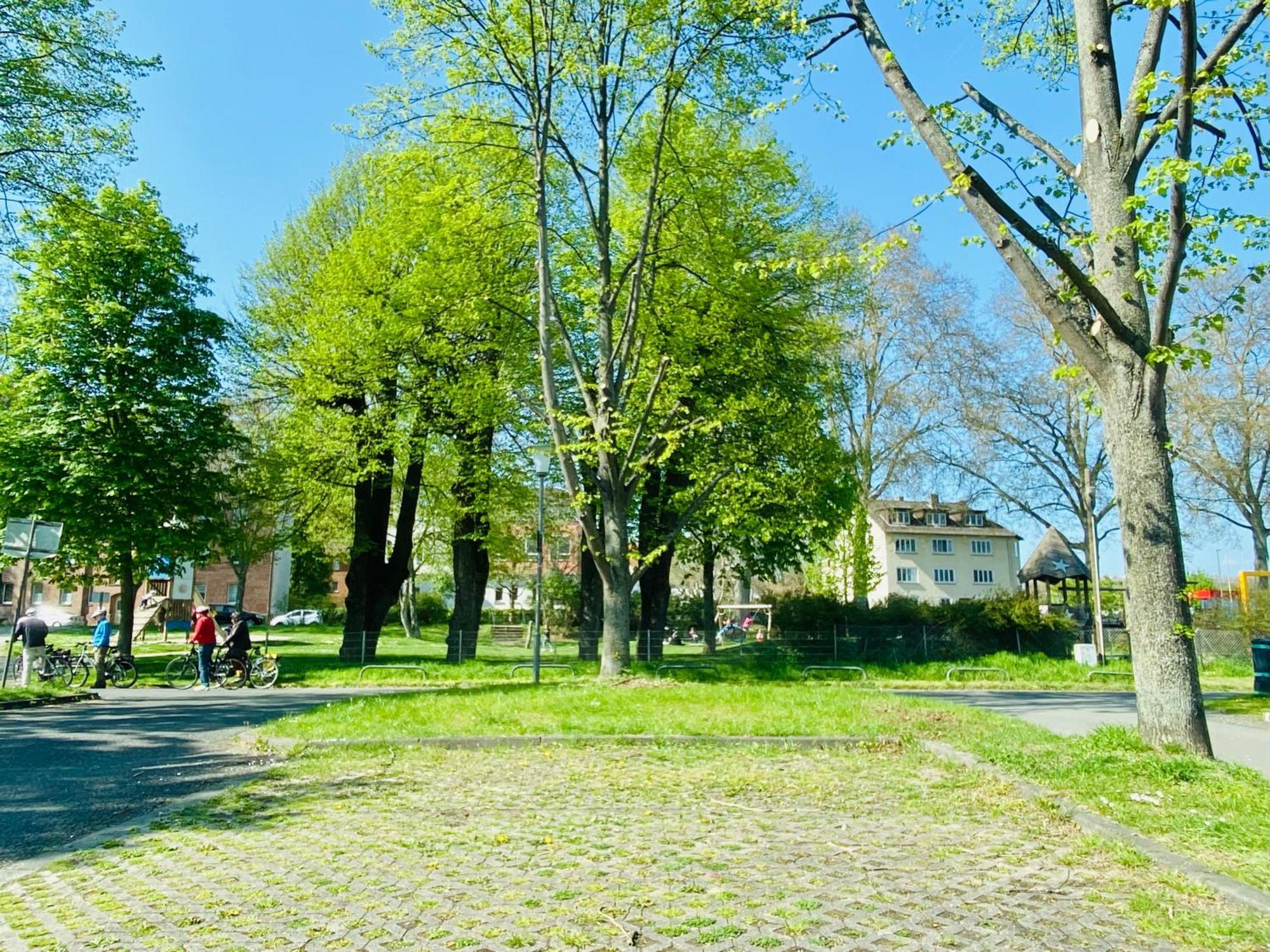 Kassel: Alles, Was Du Brauchst! エクステリア 写真
